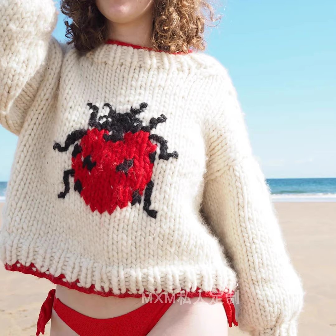Embroidery Lady Bug - Suéter de lana gruesa tejido a